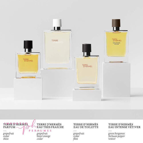 Load image into Gallery viewer, Terre d'Hermes Hermès Eau De Toillette 100ml-Imported Perfumes Co-100ml,Hermes,Hermes Twilly d’Hermès,men