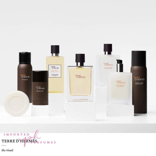 Load image into Gallery viewer, Terre d'Hermes Hermès Eau De Toillette 100ml-Imported Perfumes Co-100ml,Hermes,Hermes Twilly d’Hermès,men