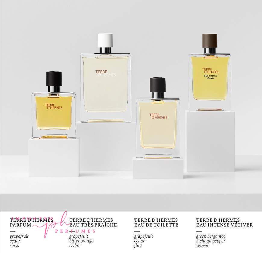 Terre d'Hermes Hermès Eau De Toillette 100ml-Imported Perfumes Co-100ml,Hermes,Hermes Twilly d’Hermès,men