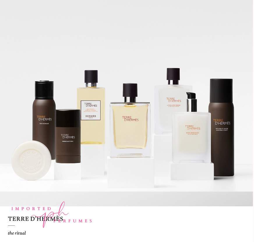 Terre d'Hermes Hermès Eau De Toillette 100ml-Imported Perfumes Co-100ml,Hermes,Hermes Twilly d’Hermès,men